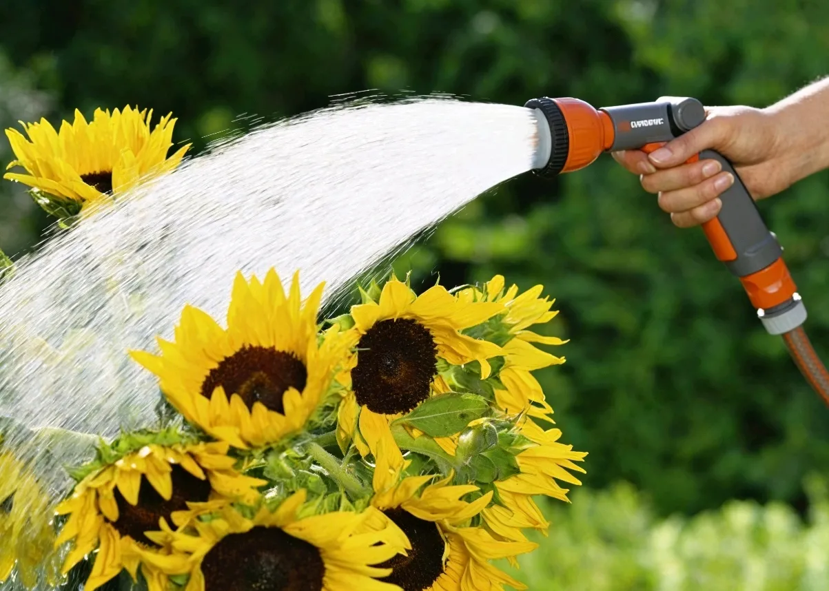 Diese automatische, aufrollbare Schlauchtrommel, die f&uuml;r atmosph&auml;rischen Druck geeignet ist, macht die Gartenbew&auml;sserung einfacher und effizienter.