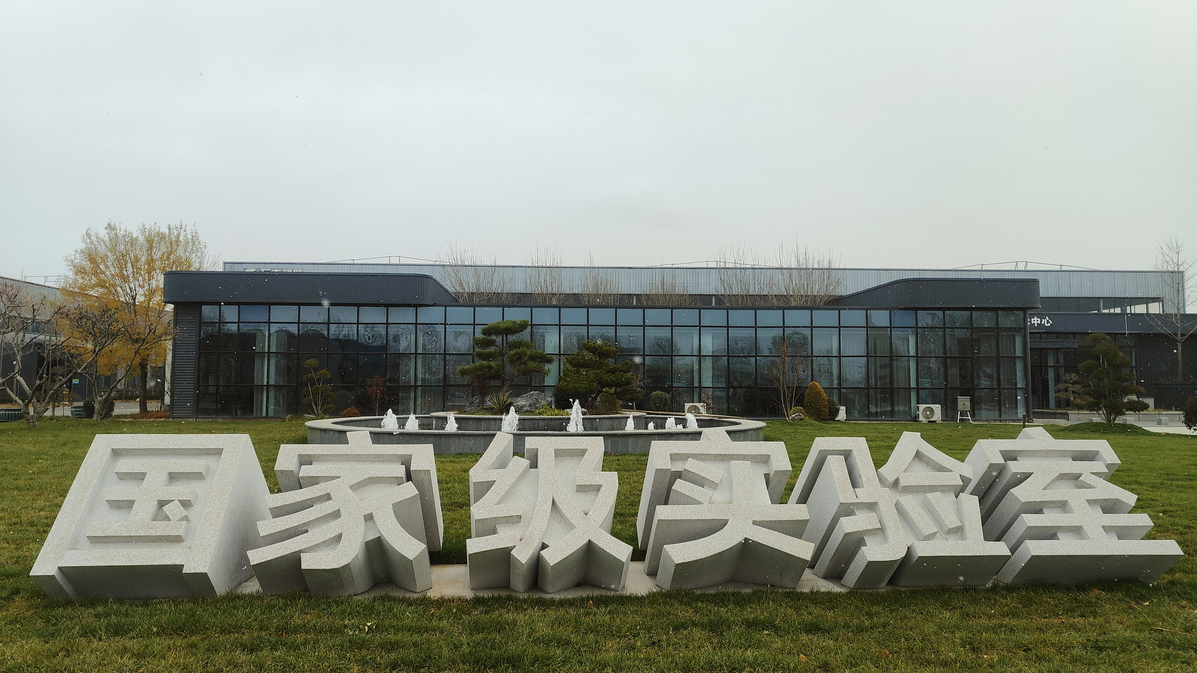 About the Company
