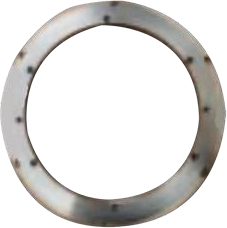 Dust Ring